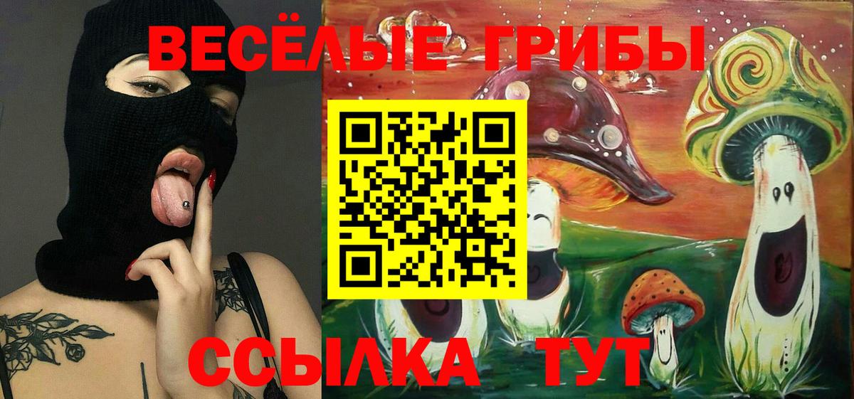 Псилоцибиновые грибы Cubensis Шатура